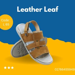 Code : L 65